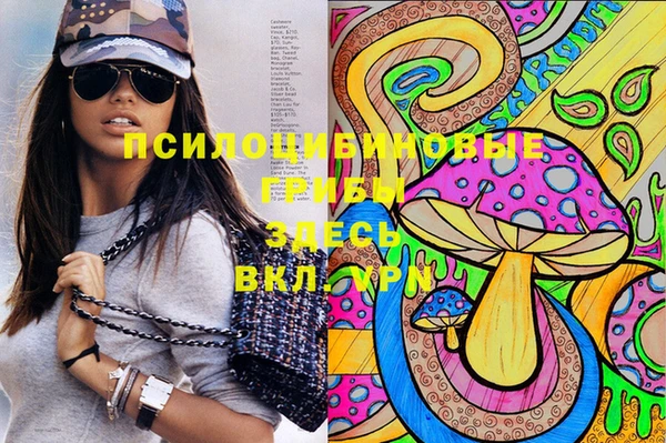 дживик Новодвинск