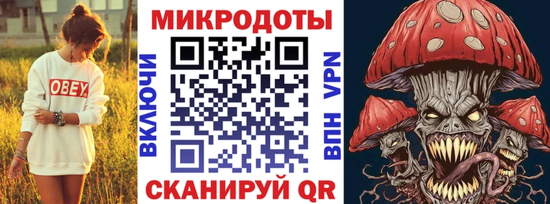 цена   Заинск  Галлюциногенные грибы Psilocybe 