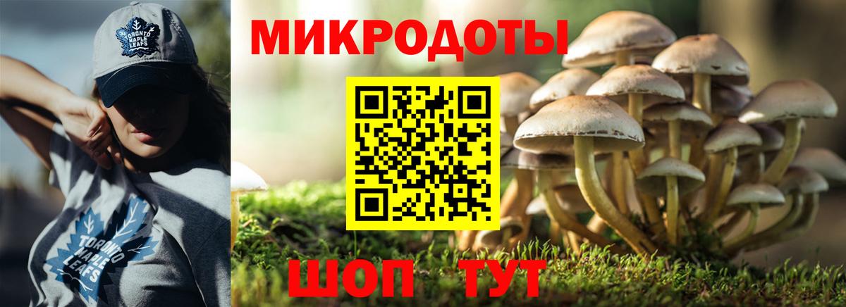 Заинск  Псилоцибиновые грибы ЛСД  Вход с VPN 